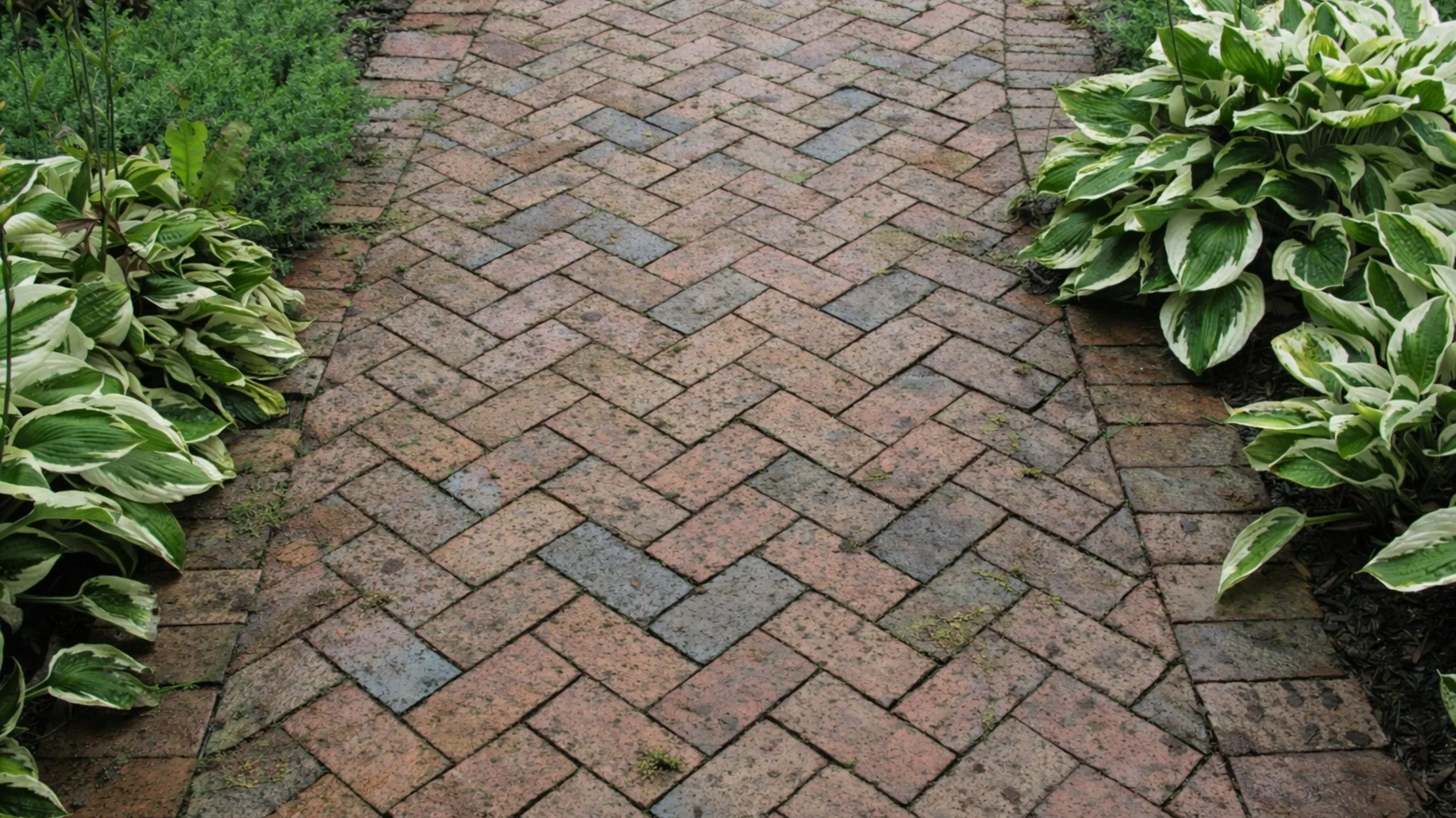 Dirty and stained driveway pavers with weed growth in a Los Angeles home before the professional restoration by Dream Patios LA.