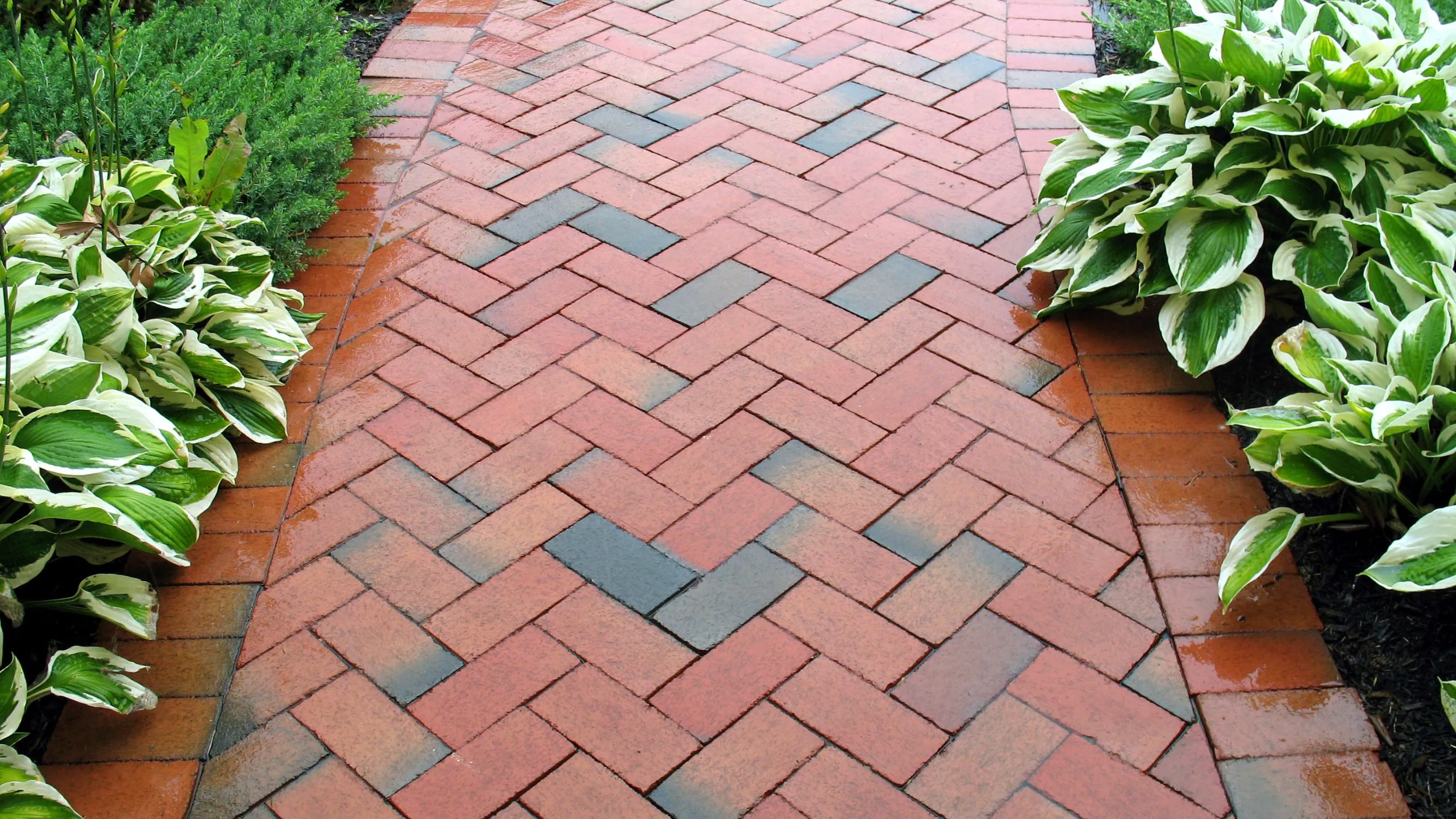 Complete Driveway Upgrade and Paver Restoration